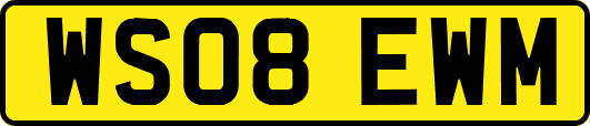 WS08EWM