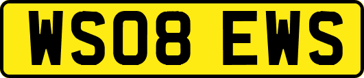 WS08EWS