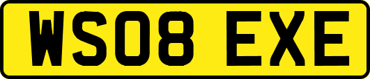 WS08EXE