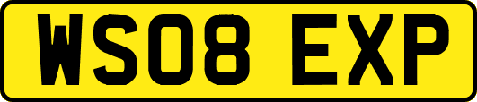 WS08EXP