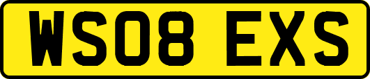 WS08EXS
