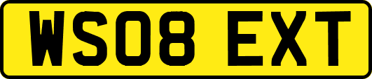 WS08EXT