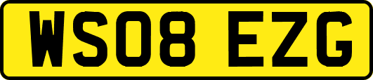 WS08EZG