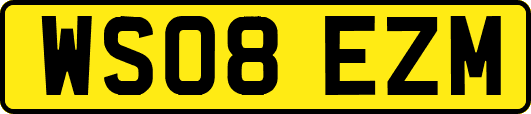 WS08EZM