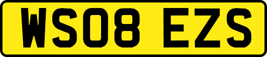 WS08EZS