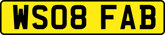 WS08FAB