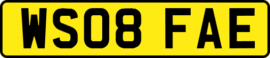 WS08FAE