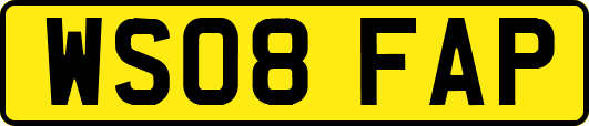 WS08FAP