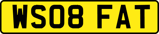 WS08FAT