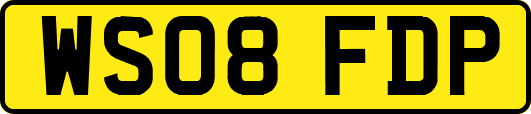 WS08FDP