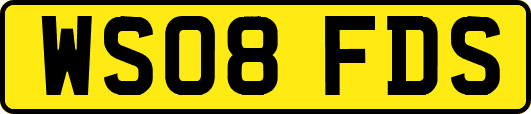 WS08FDS