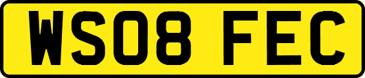 WS08FEC