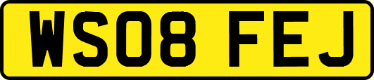 WS08FEJ