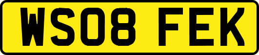 WS08FEK