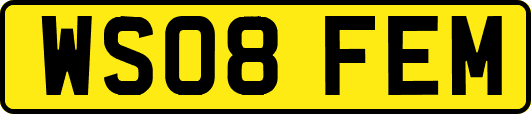 WS08FEM