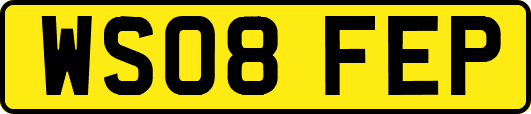 WS08FEP
