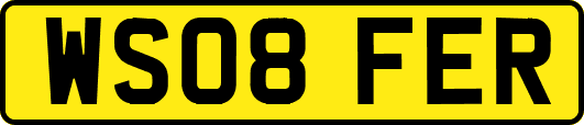 WS08FER