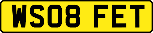 WS08FET