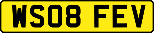 WS08FEV