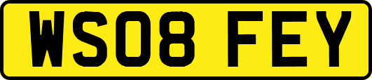 WS08FEY