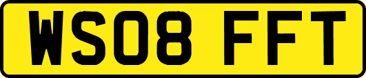 WS08FFT