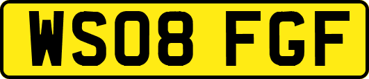 WS08FGF