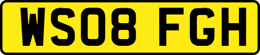 WS08FGH