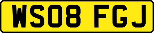 WS08FGJ