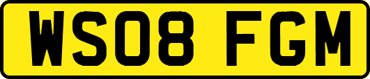 WS08FGM