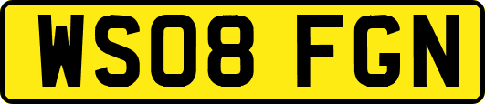 WS08FGN
