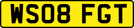 WS08FGT