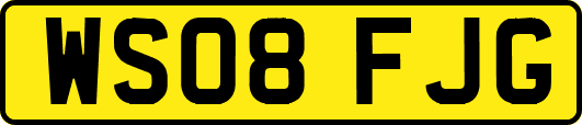 WS08FJG