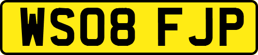 WS08FJP
