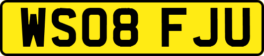 WS08FJU