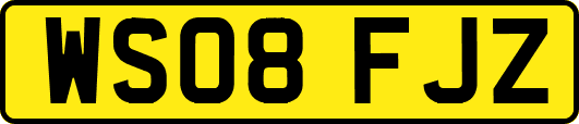 WS08FJZ