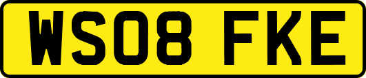 WS08FKE