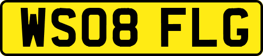 WS08FLG