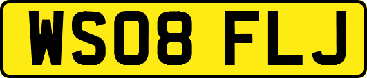 WS08FLJ
