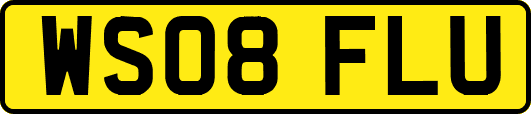WS08FLU