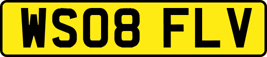 WS08FLV