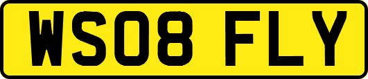 WS08FLY