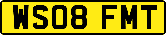 WS08FMT