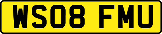WS08FMU