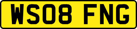 WS08FNG