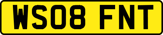 WS08FNT