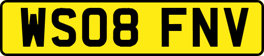 WS08FNV