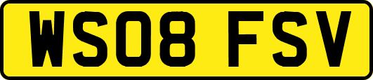 WS08FSV