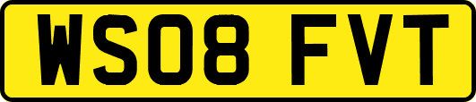 WS08FVT