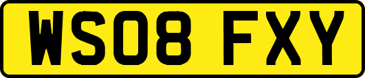 WS08FXY