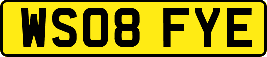 WS08FYE